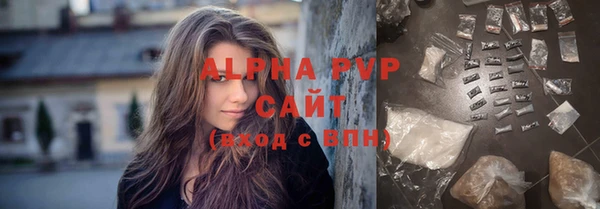 молекула духа Каменногорск