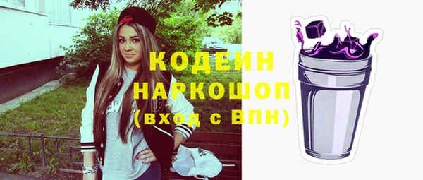 молекула духа Каменногорск