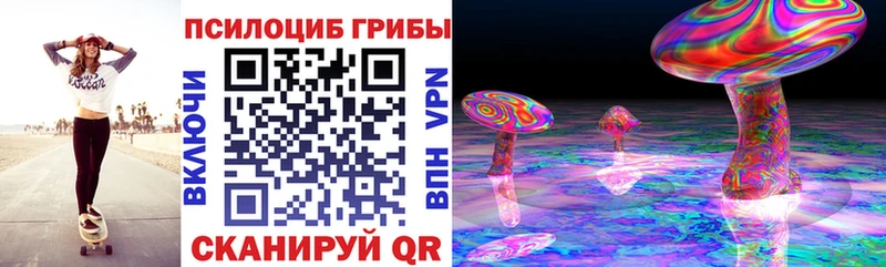 Купить закладки  Верхняя Салда  Галлюциногенные грибы MAGIC MUSHROOMS 